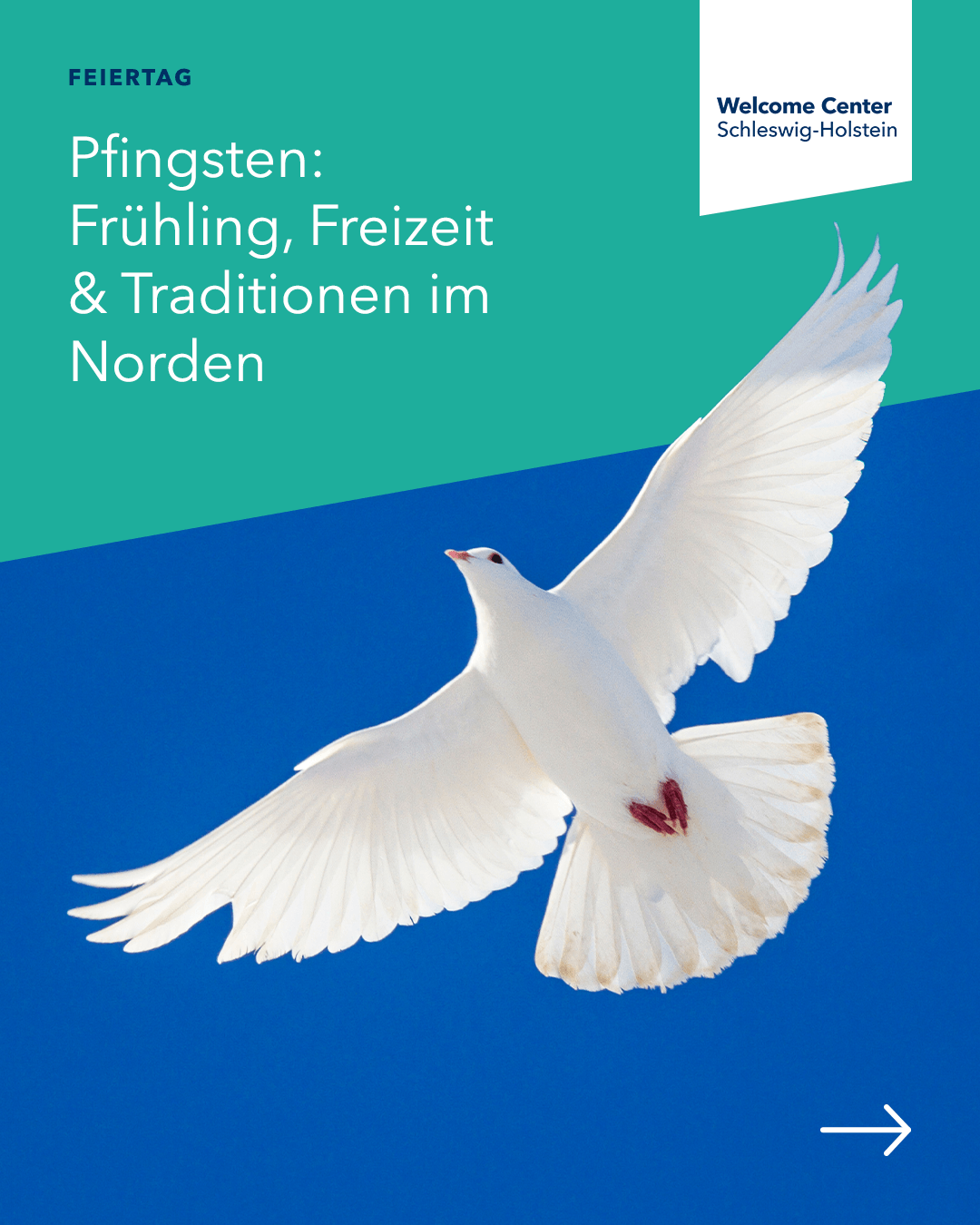 Slider Bild 1